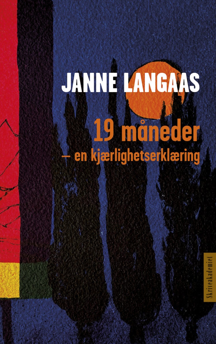Bilde av 19 Måneder Av Janne Langaas