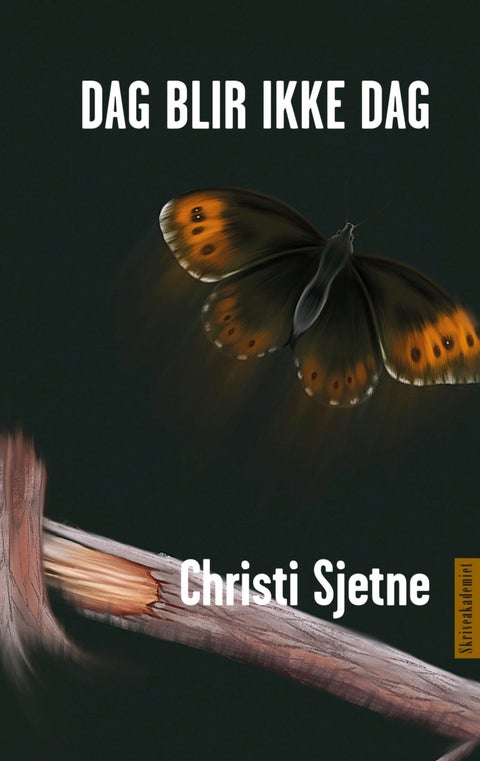 Dag blir ikke dag