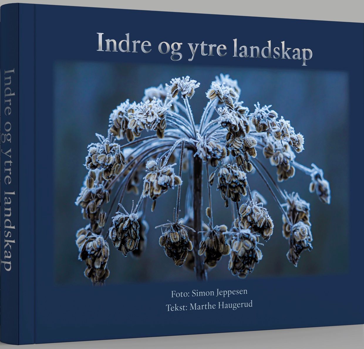 Bilde av Indre Og Ytre Landskap Av Marthe Haugerud