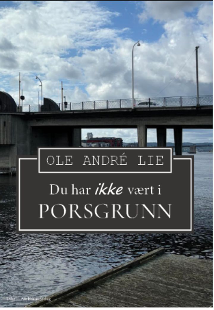 Du har ikke vært i Porsgrunn - dikt