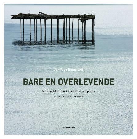 Bare en overlevende - tekst og bilder i post-tsunamisk perspektiv