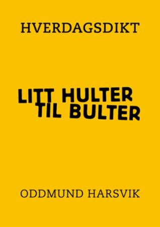 Hverdagsdikt - litt hulter til bulter