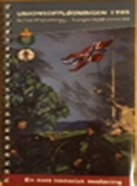 Unionsoppløsningen 1905 - Befestningsanlegg i Kongsvinger-avsnittet