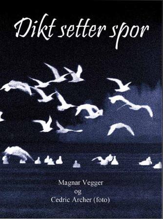 Dikt setter spor