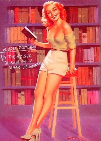 Ho tok av seg blusen og sa ho var bibliotekar - roman
