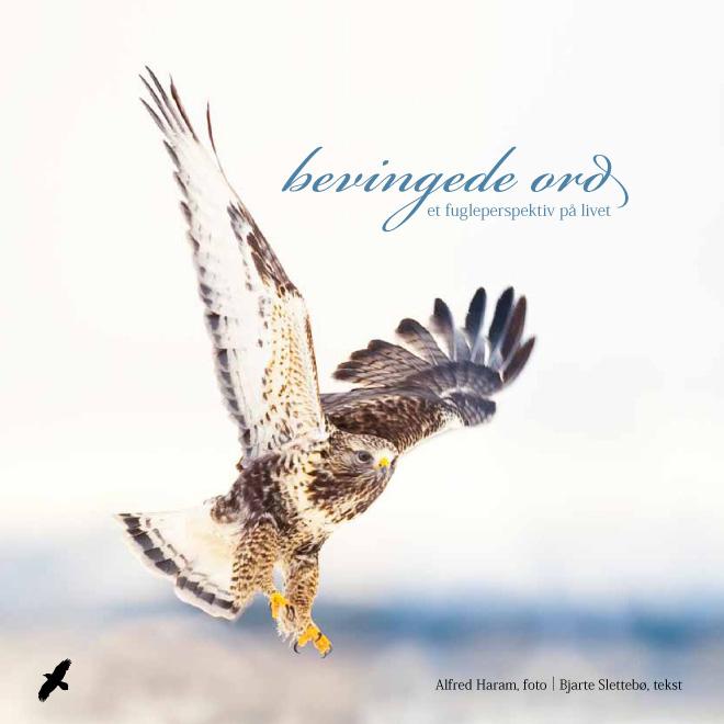 Bevingede ord - et fugleperspektiv på livet