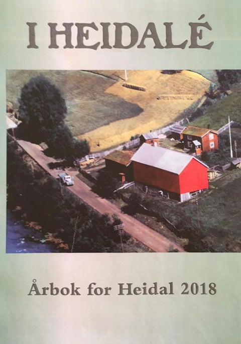 I Heidale - Årbok for Heidal 2018
