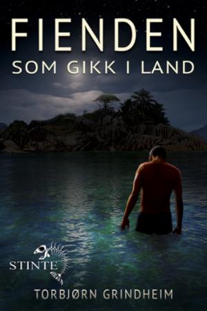 Bilde av Fienden Som Gikk I Land Av Torbjørn Grindheim