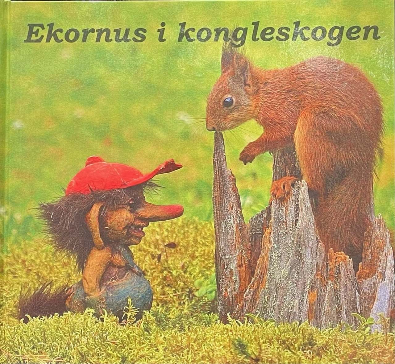 Ekornus i kongleskogen