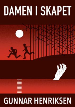 Damen i skapet - roman