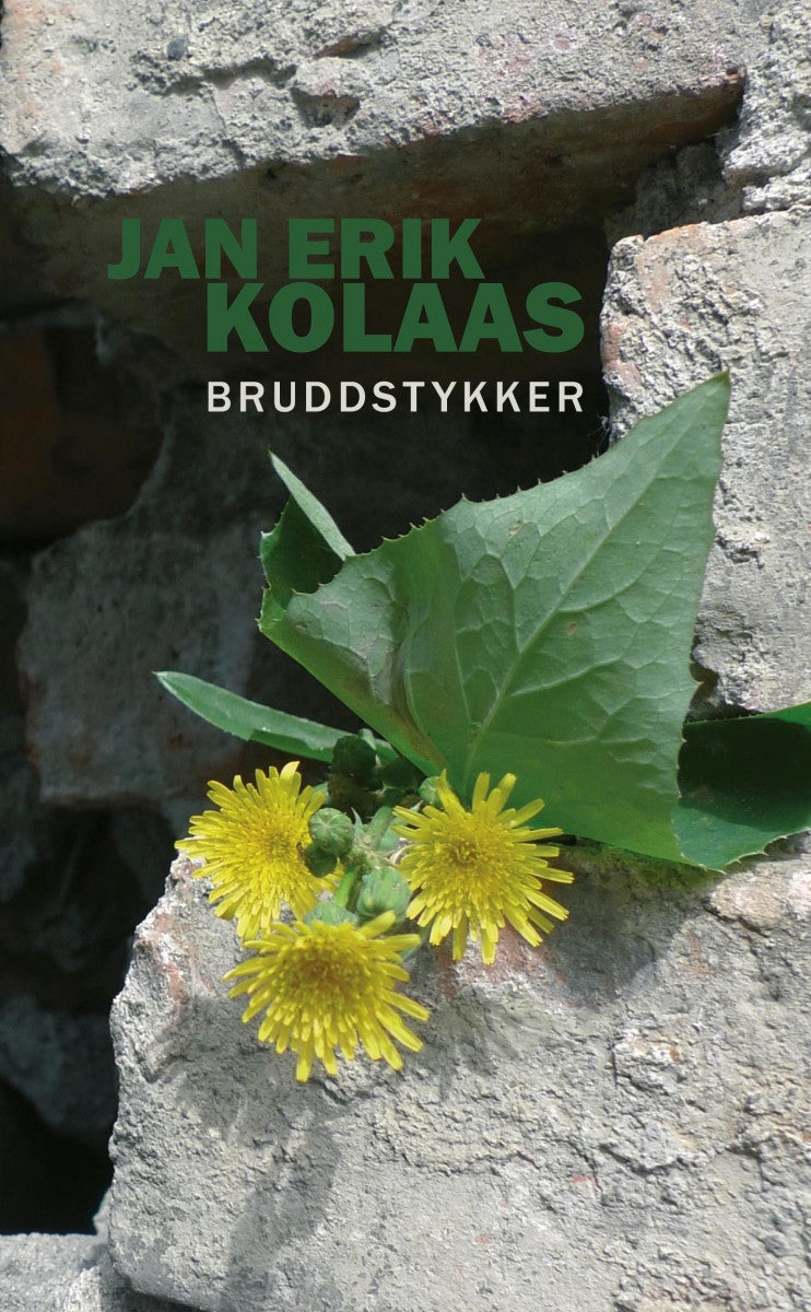 Bruddstykker - roman