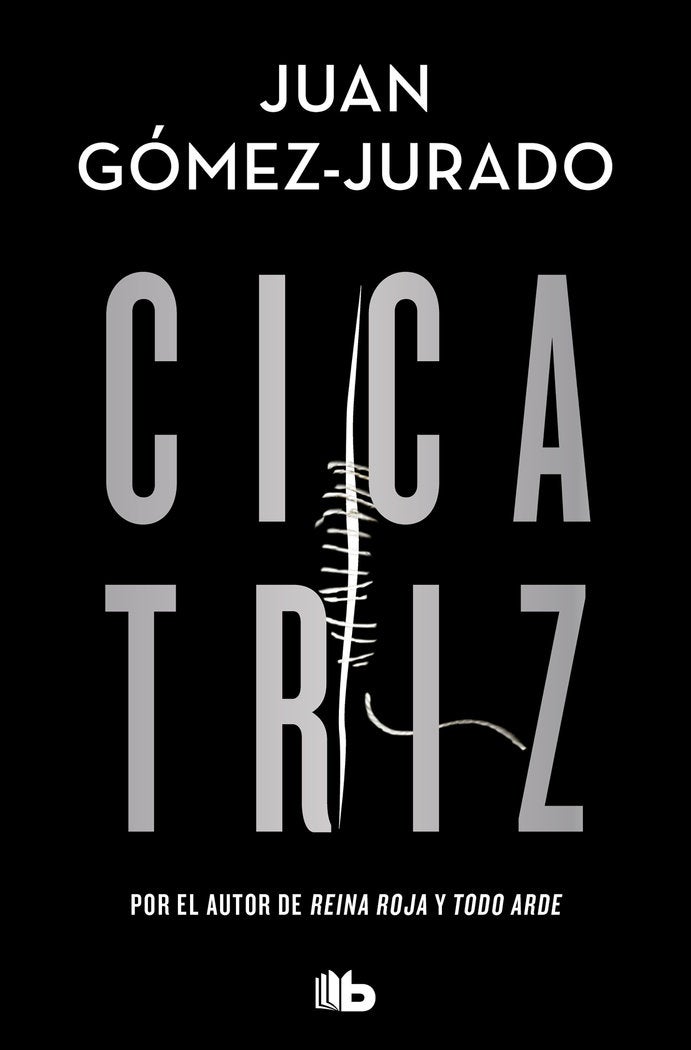 Bilde av Cicatriz Av Juan Gómez-jurado