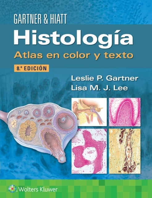 Bilde av Histologia. Atlas En Color Y Texto Av Leslie P. Phd Gartner, Lisa M.j. Phd Lee
