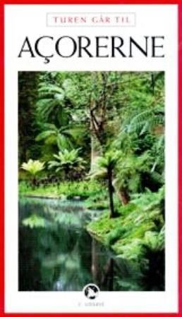 book cover thumbnail