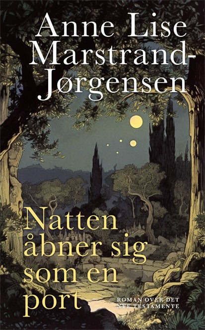 Natten åbner sig som en port - Roman over det nye testamente