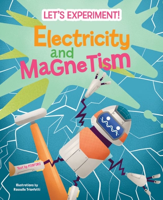 Bilde av Electricity And Magnetism Av Mattia Crivellini