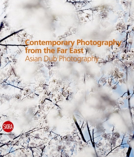 Contemporary Photography from the Far East - Asian Dub Photography