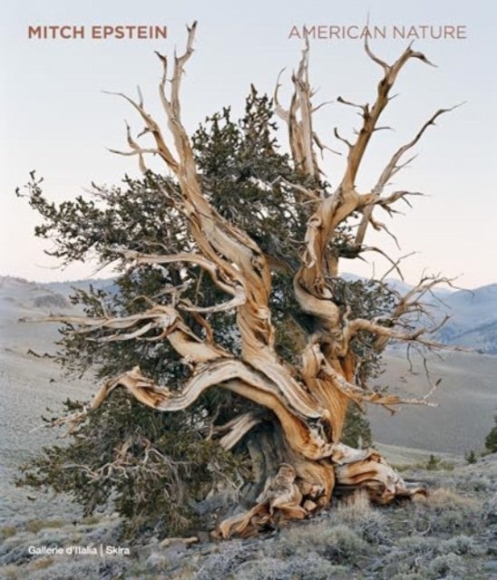 Mitch Epstein - American Nature