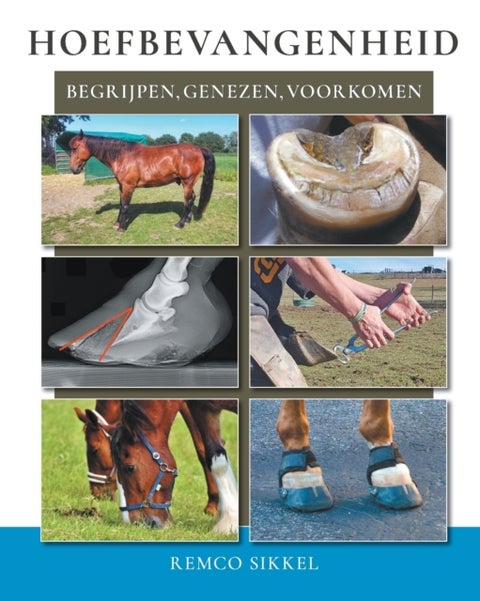 Hoefbevangenheid - begriipen, genezen, voorkomen
