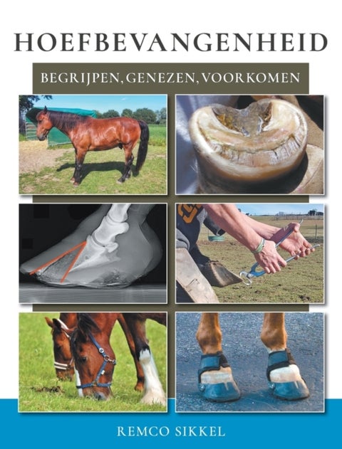 Hoefbevangenheid - begriipen, genezen, voorkomen