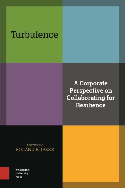 Turbulence - A Corporate Perspective on Collaborating for Resilience