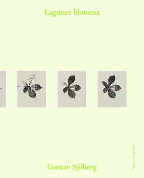 Laguner blomma