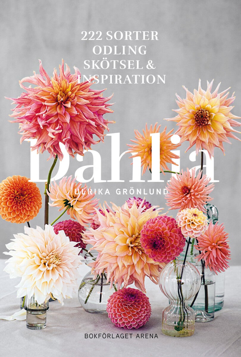 Dahlia - 222 sorter, odling, skötsel och inspiration