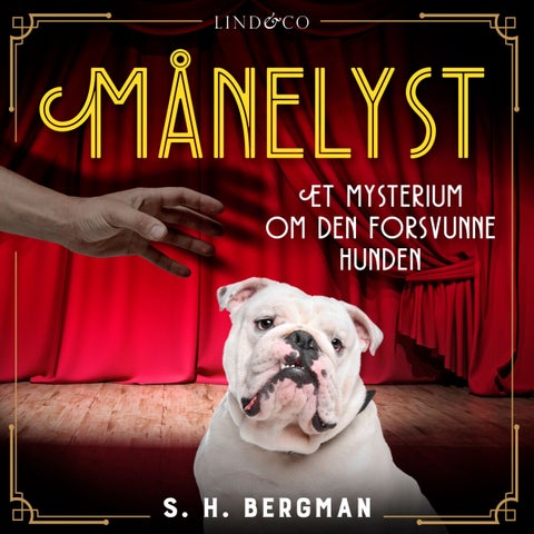Månelyst - et mysterium om den forsvunne hunden