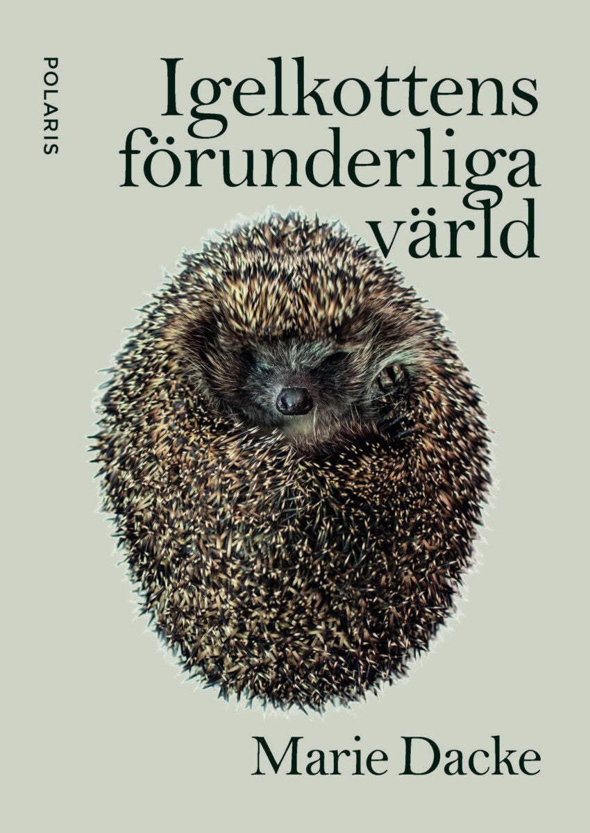 Igelkottens förunderliga värld