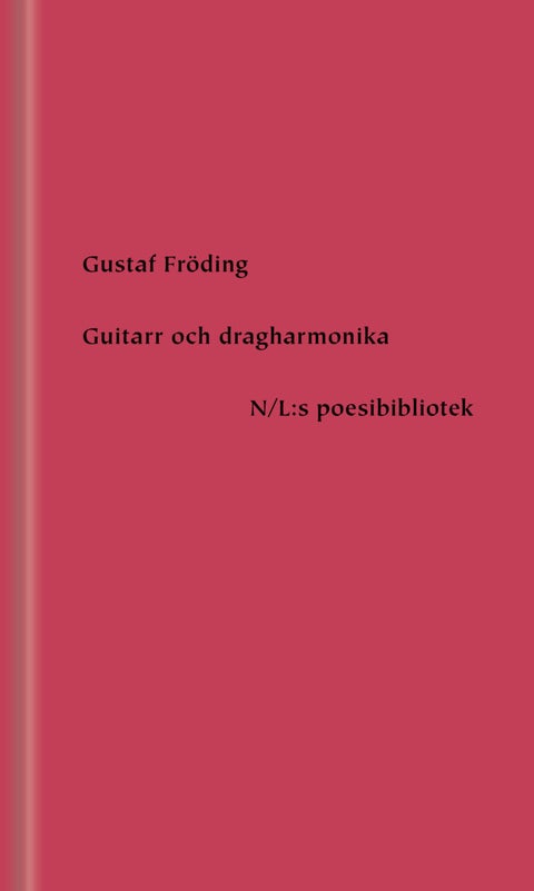 Guitarr och dragharmonika