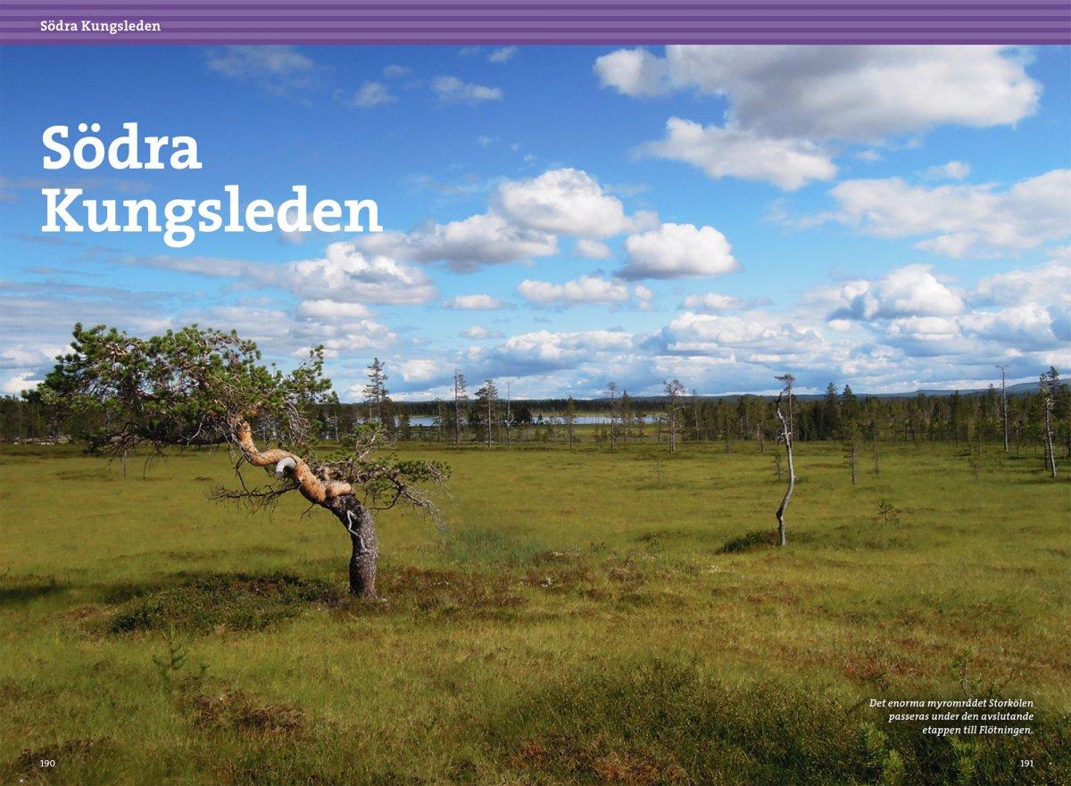 Vandra i Sälen och Fulufjällens nationalpark