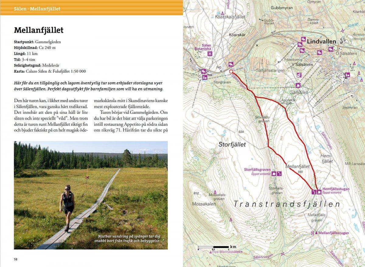 Vandra i Sälen och Fulufjällens nationalpark