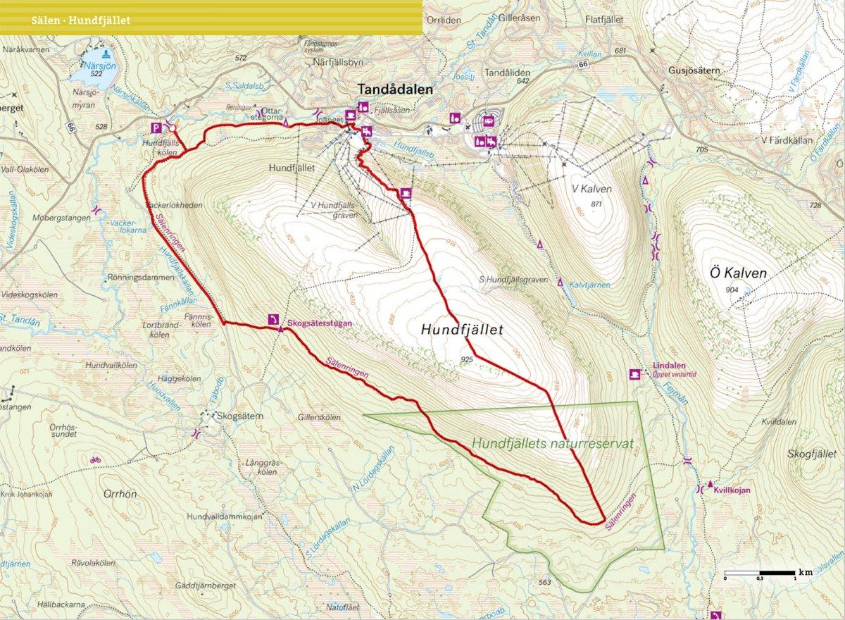 Vandra i Sälen och Fulufjällens nationalpark