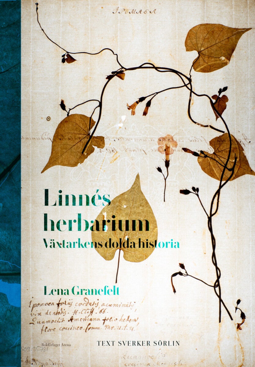Linnés herbarium - växtarkens dolda historia