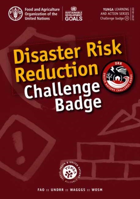 Disaster risk reduction challenge badge