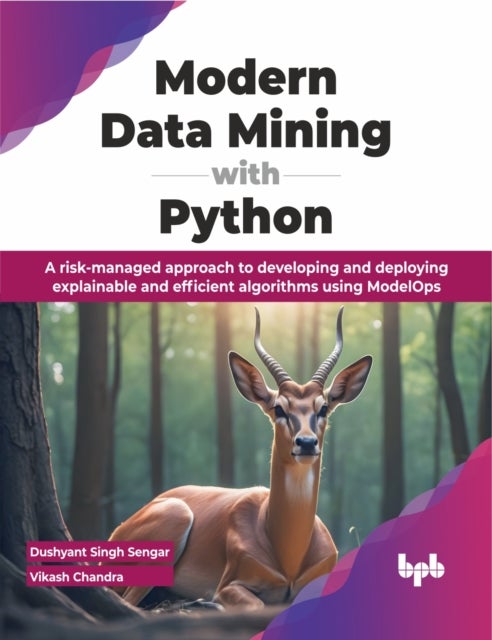 Modern Data Mining with Python - A risk-managed approach to developing and deploying explainable and efficient algorithms using Model