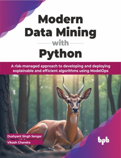 Modern Data Mining with Python - A risk-managed approach to developing and deploying explainable and efficient algorithms using Model