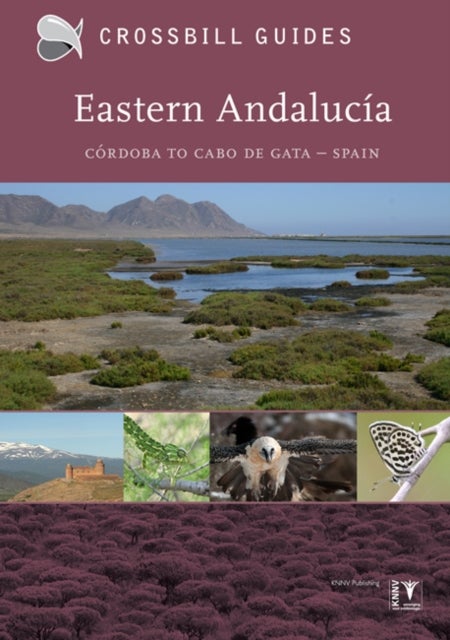 Eastern Andalucia - From Malaga to Cabo de Gata, Spain