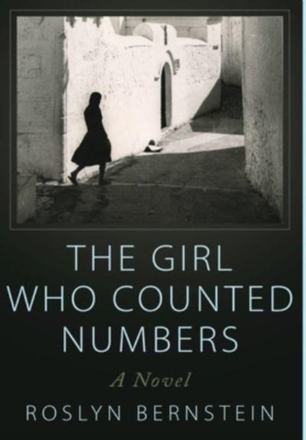 The Girl Who Counted Numbers - A Novel