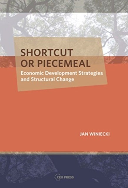 Shortcut or Piecemeal - Economic Development Strategies and Structural Change