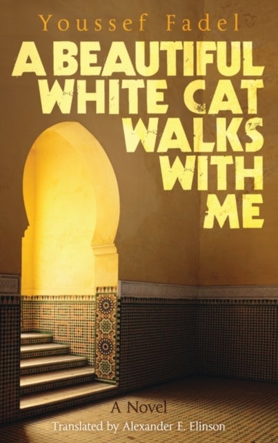 Bilde av A Beautiful White Cat Walks With Me Av Youssef Fadel