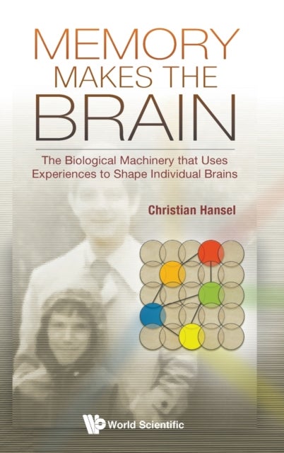 Memory Makes The Brain: The Biological Machinery That Uses Experiences To Shape Individual Brains av Christian (The Univ Of Chicago Usa) Hansel