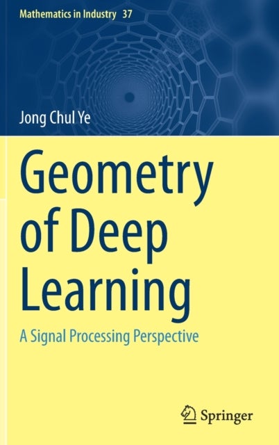 Geometry of Deep Learning - A Signal Processing Perspective