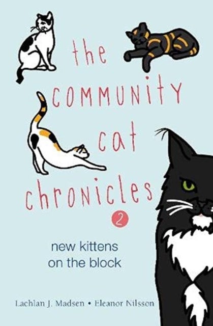 The Community Cat Chronicles 2 - New kittens on the block