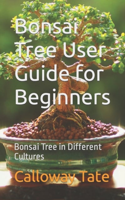 Bonsai Tree User Guide for Beginners - Bonsai Tree in Different Cultures