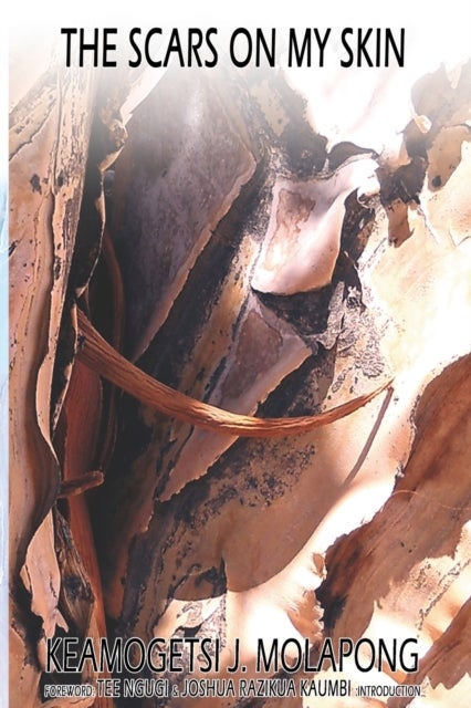 The Scars On My Skin