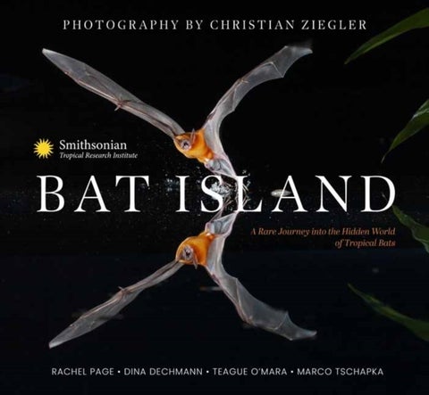 Bat Island - A Rare Journey into the Hidden World of Tropical Bats