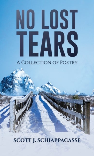 No Lost Tears - A Collection of Poetry