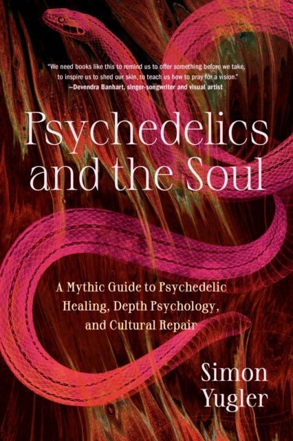 Psychedelics and the Soul - A Mythic Guide to Psychedelic Healing, Depth Psychology, and Cultural Repair