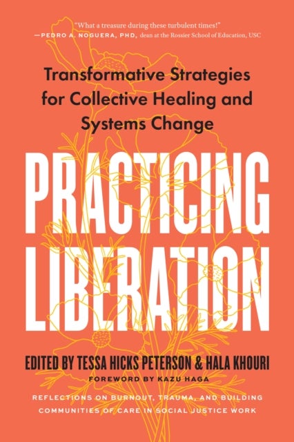 Practicing Liberation - Transformative Strategies for Collective Healing & Systems Change: Reflections on burnout, trauma &